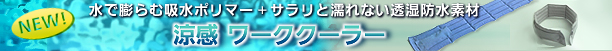 �M���Ǒ΍�F�������[�N�N�[���[